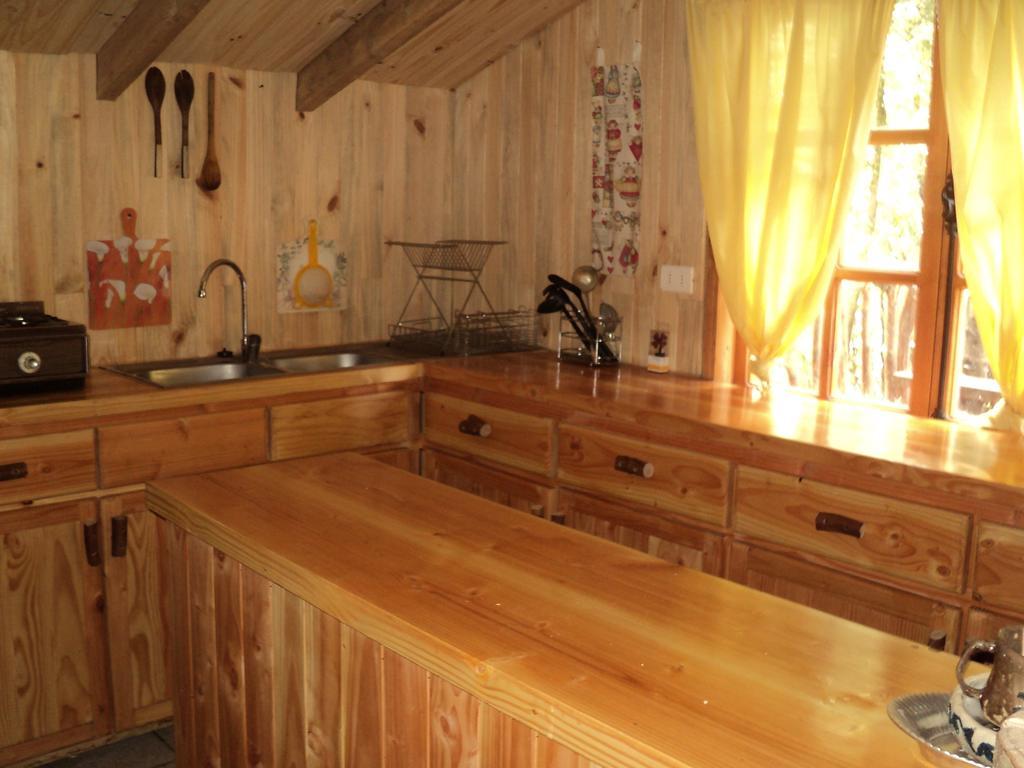 Cabana Rustica Patagonia Chilena Coñaripe Kamer foto