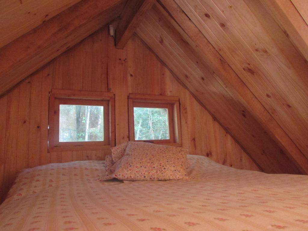 Cabana Rustica Patagonia Chilena Coñaripe Kamer foto
