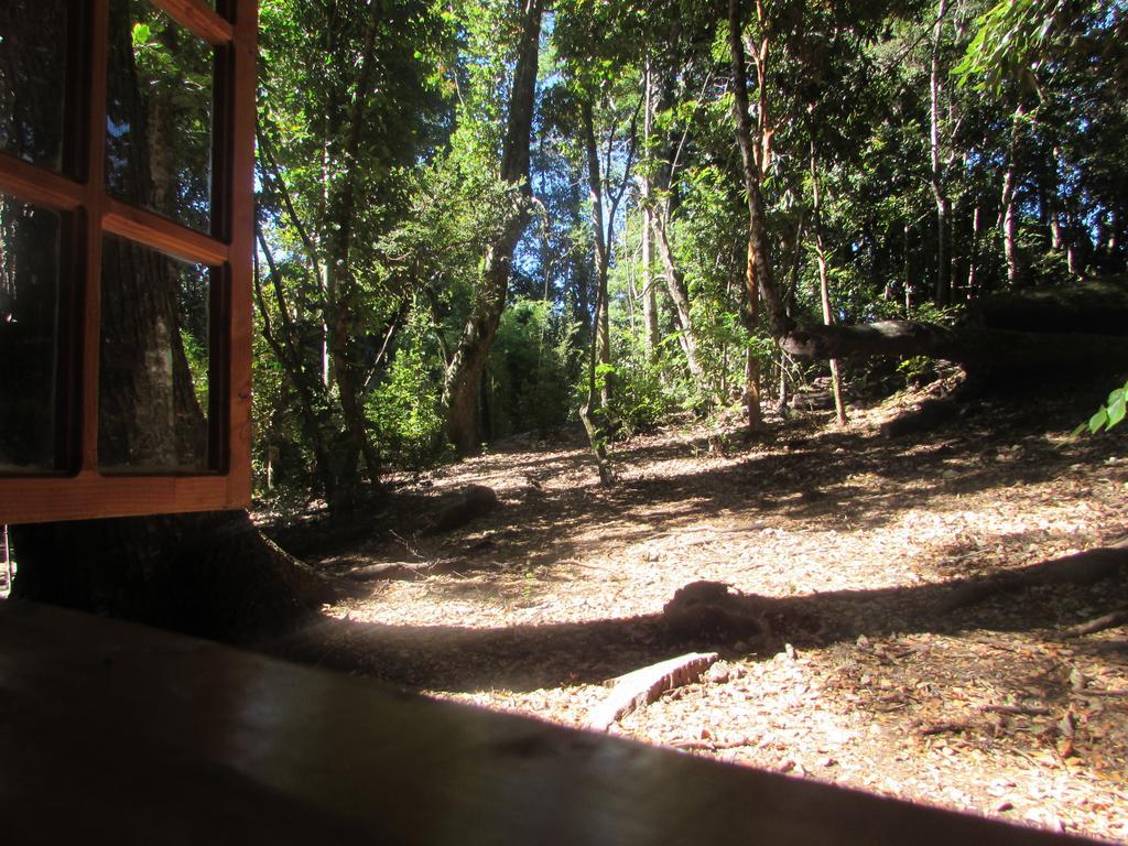 Cabana Rustica Patagonia Chilena Coñaripe Kamer foto
