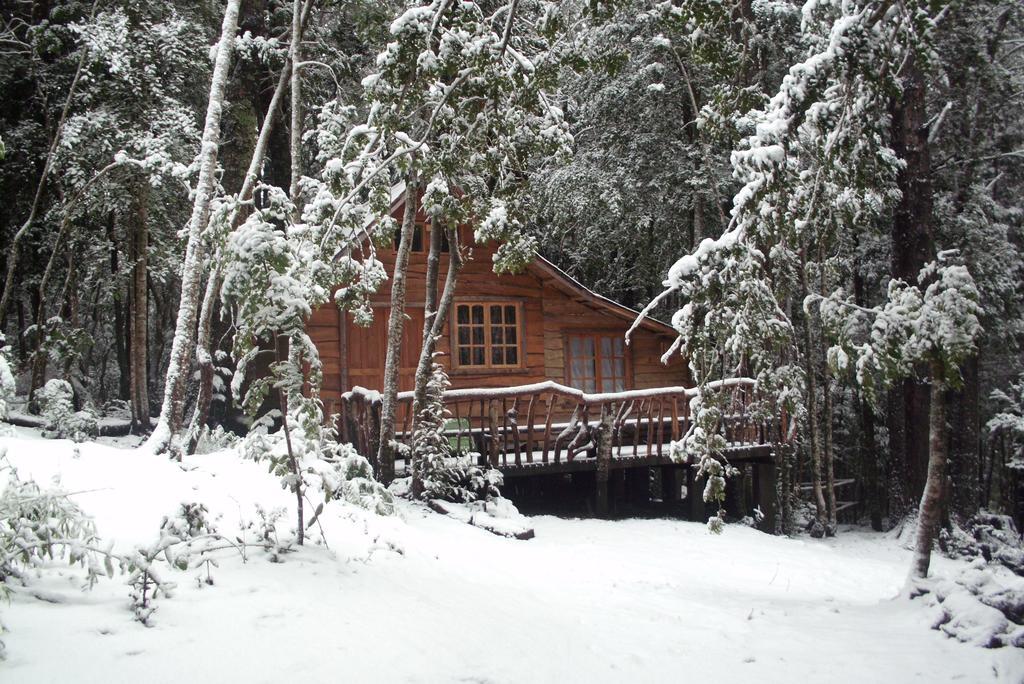 Cabana Rustica Patagonia Chilena Coñaripe Kamer foto