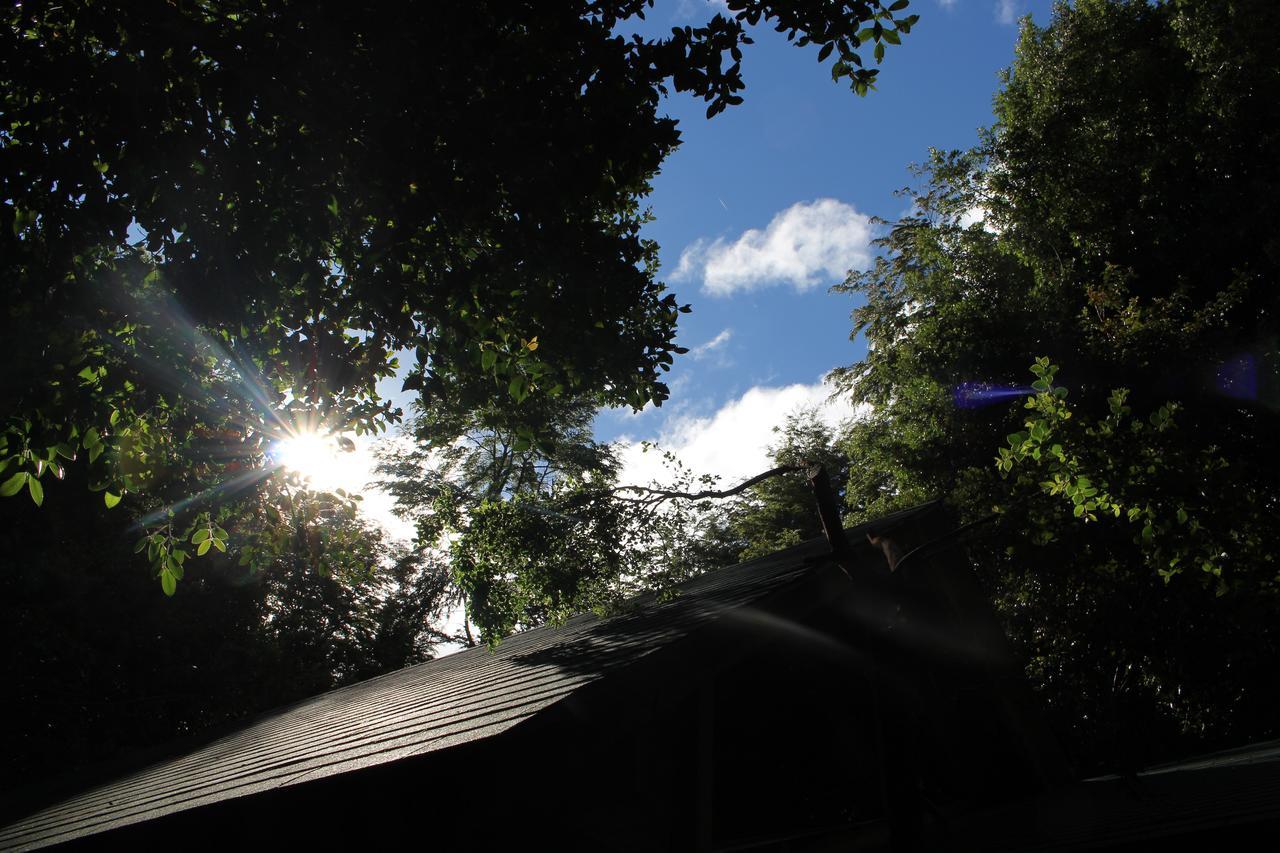 Cabana Rustica Patagonia Chilena Coñaripe Buitenkant foto
