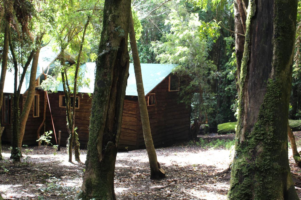 Cabana Rustica Patagonia Chilena Coñaripe Buitenkant foto