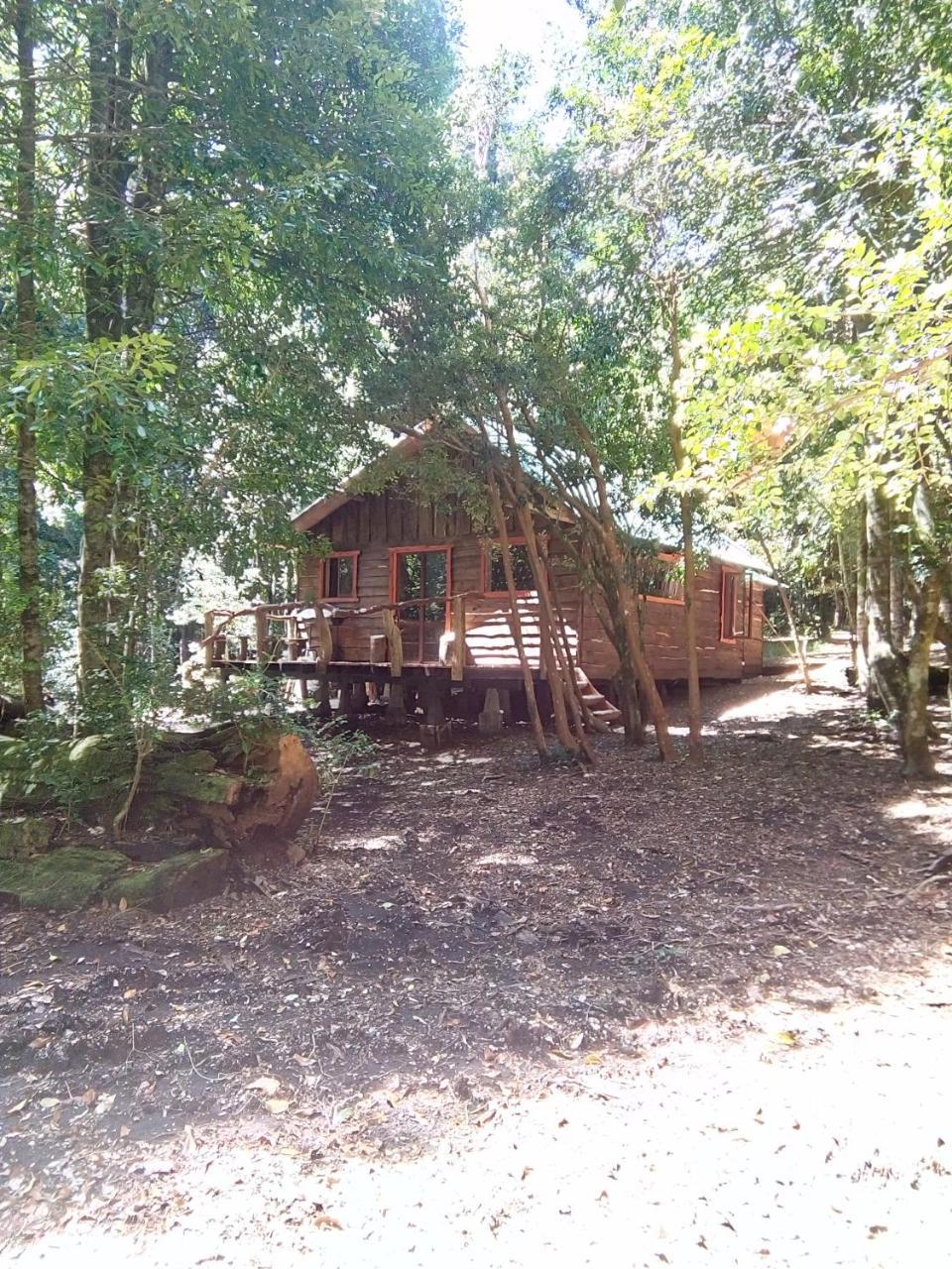 Cabana Rustica Patagonia Chilena Coñaripe Buitenkant foto