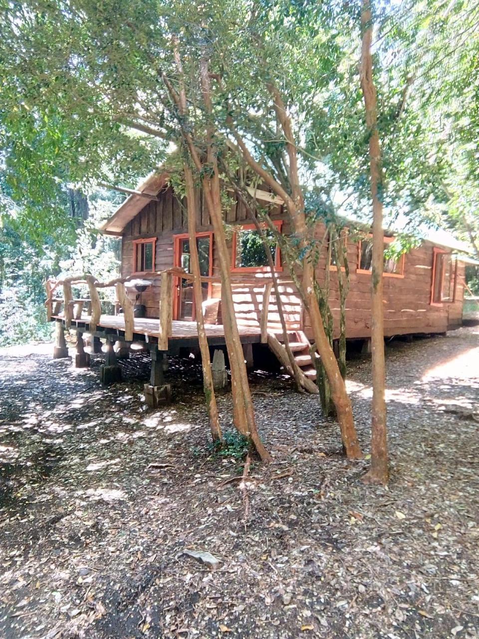 Cabana Rustica Patagonia Chilena Coñaripe Buitenkant foto