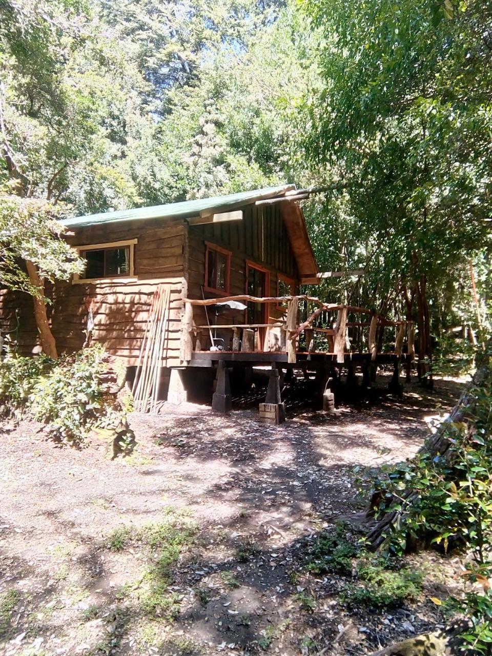 Cabana Rustica Patagonia Chilena Coñaripe Buitenkant foto